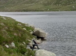 Loch A'an Catching Brown Trout