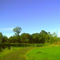 Monkland Canal Walk 2020/09/24