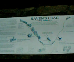 Rogie Falls Lookout Point