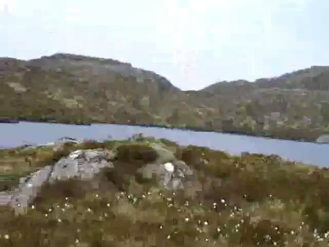 Walking in Moidart