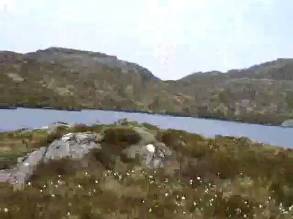 Walking in Moidart