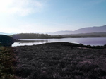 Eilean Molach On Loch Ba