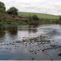 River Earn in Summer