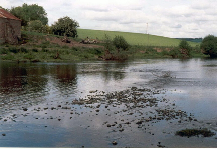 River Earn in Summer