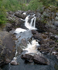 Rogie Falls On The River Blackwater 