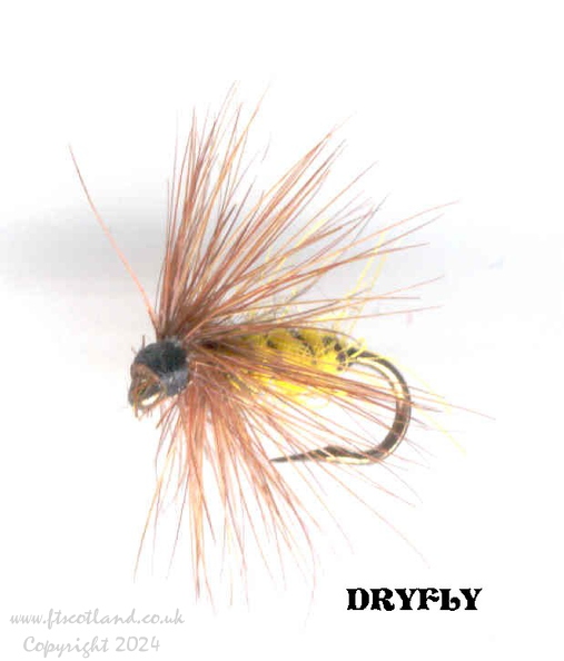 dryfly.619x725.jpg