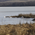 Loch Freuchie 2010/02/23