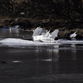 Loch Freuchie 2010/02/23