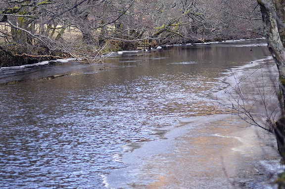 River Almond