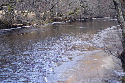 River Almond
