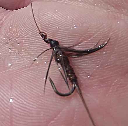 Orvis Pheasant Tail Nymph