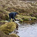 George Washing His Dishes