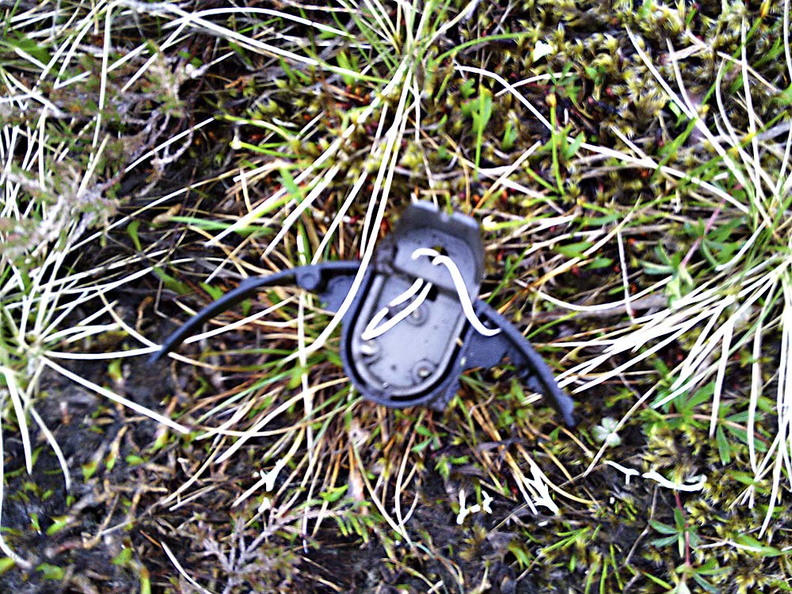 048-strange-item.jpg