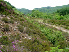 The path to the higher lochs