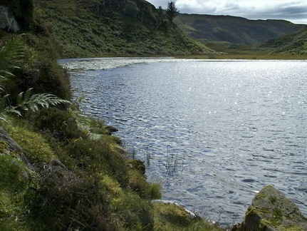 Loch na Curraig