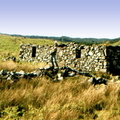 An Old Settlement Above Loch A'Phearson
