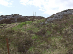 Victorian Iron Fence