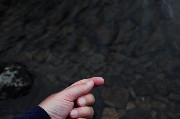 Big Fish Picture (it escaped just as I took the picture)