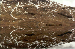 Hill Loch Mirror
