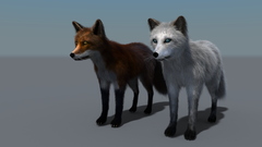 Foxes LAMH catalyzer fur