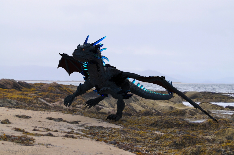 portmahomack-beach-dragon3-003