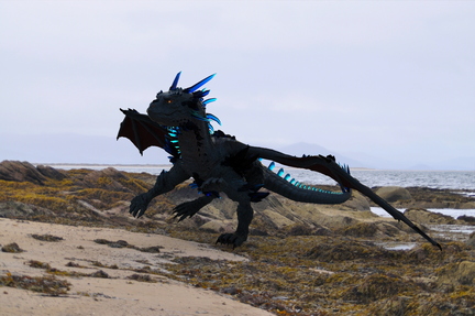 portmahomack-beach-dragon3-003