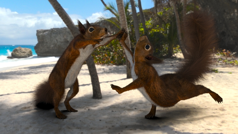 squirrel-dancing-catalyzer-002.jpg