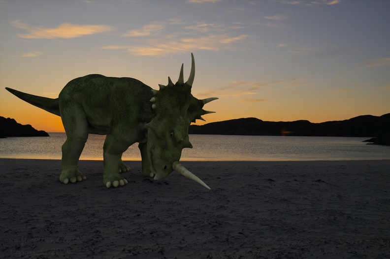 styracosaurus-achmelvich-beach-001