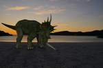 styracosaurus-achmelvich-beach-002