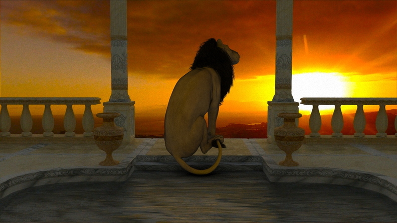 sunset-pool-lion-001.jpg