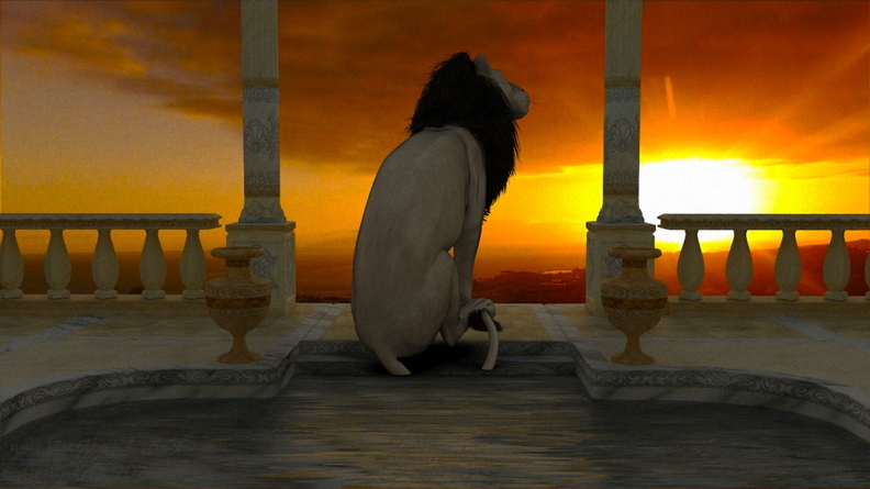 sunset-pool-lion-002.jpg