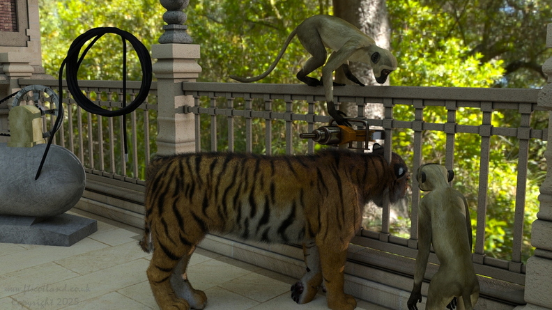 tiger-rescue-001.jpg