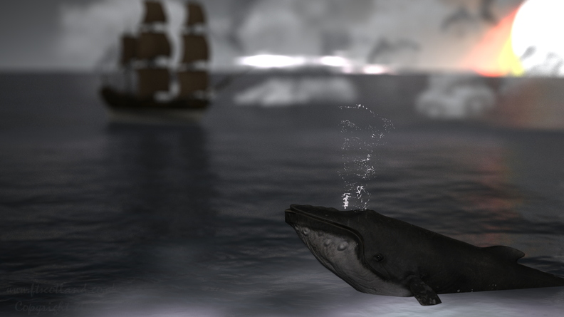 whale-003.jpg