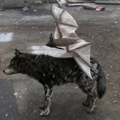 Bat and Wolf Look at My Hair Fiberhair