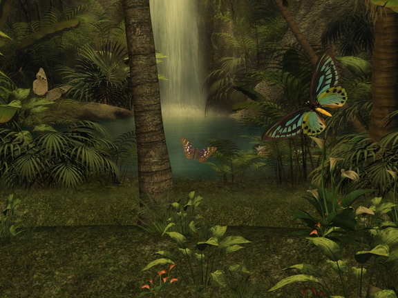 Butterfly Glade