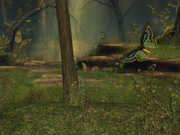 Butterfly Glade