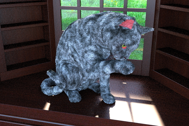 cat-in-window-ff6-009.jpg