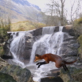 fox-jump-my-background-002