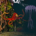 octopus-002