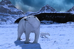 polar-bear-and-cub-001