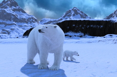 polar-bear-and-cub-002