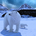 polar-bear-and-cub-002
