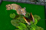 tiger-and-butterfly-002