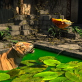 tiger-and-butterfly-003