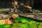 tiger-and-butterfly-003