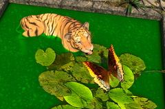 tiger-and-butterfly-004