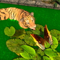tiger-and-butterfly-004