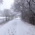Snowy Monklands Canal