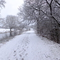 canal-snow-011.JPG