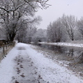canal-snow-012.JPG